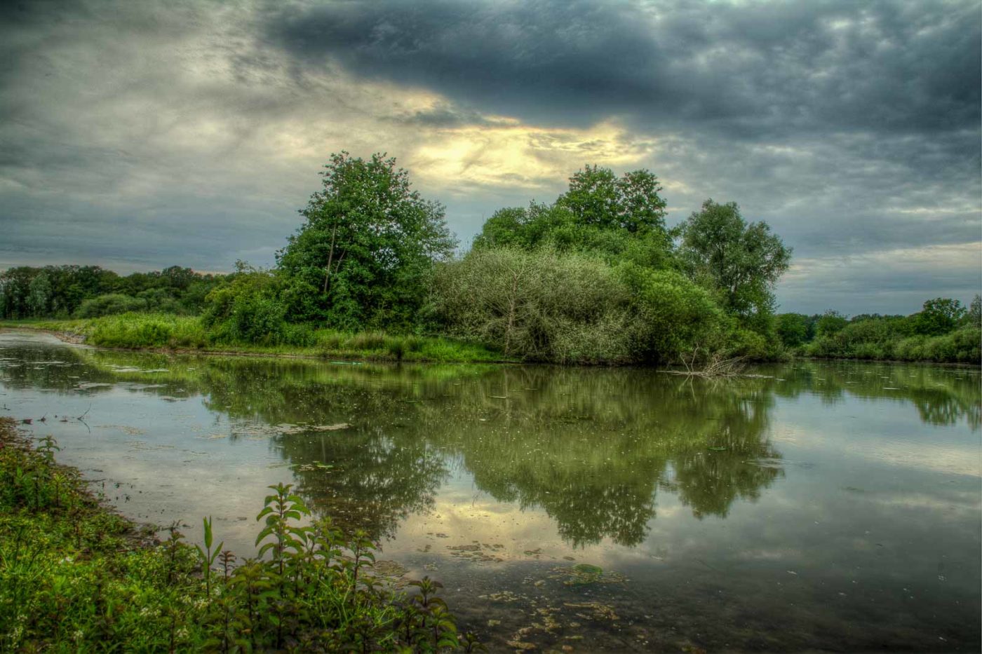 2019-06-09 - NSG Braucksenke Marl