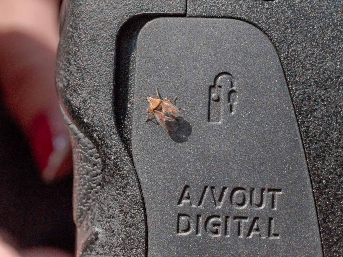 2019-08-21 - RUB - Botanischer Garten