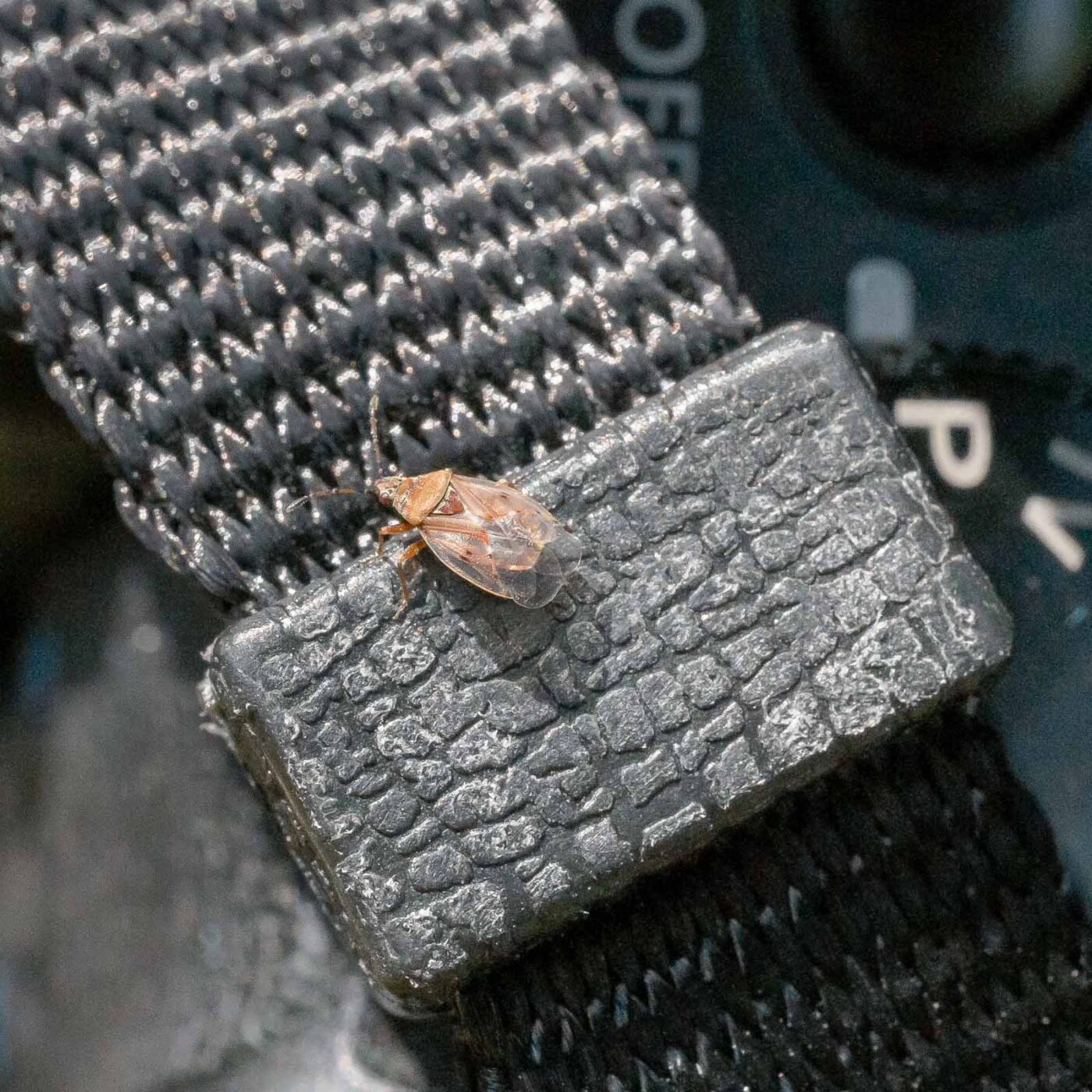 2019-08-21 - RUB - Botanischer Garten