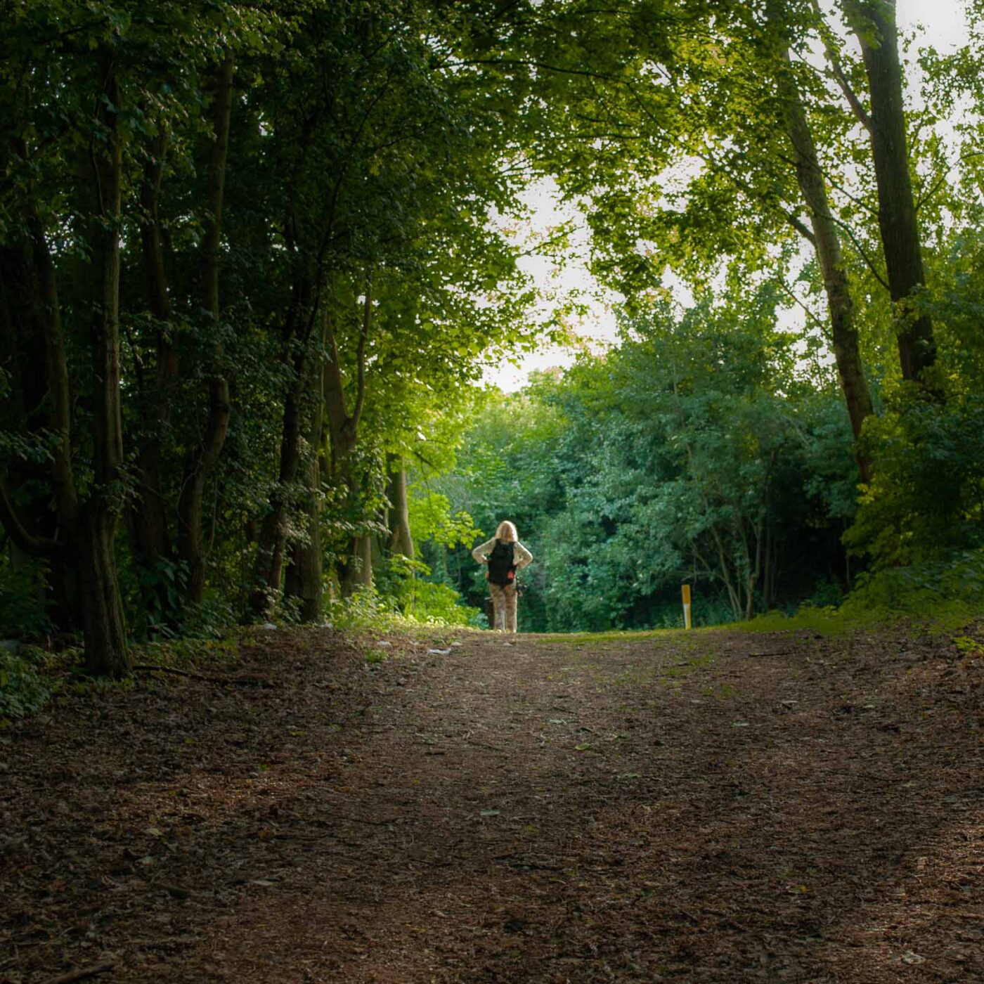 2017-05-28 - NSG Halde Pluto-Wilhelm HER-Wanne