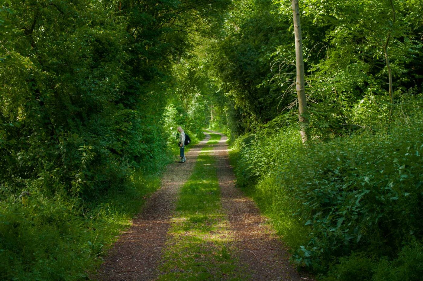 2017-05-28 - NSG Halde Pluto-Wilhelm HER-Wanne