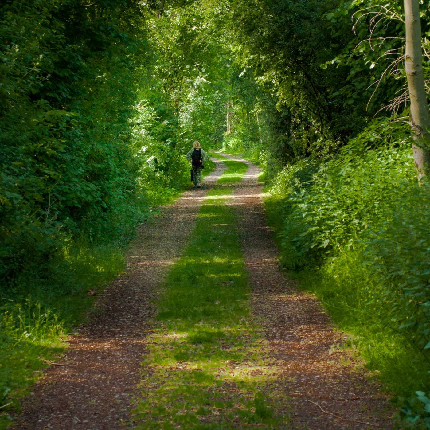 2017-05-28 - NSG Halde Pluto-Wilhelm HER-Wanne