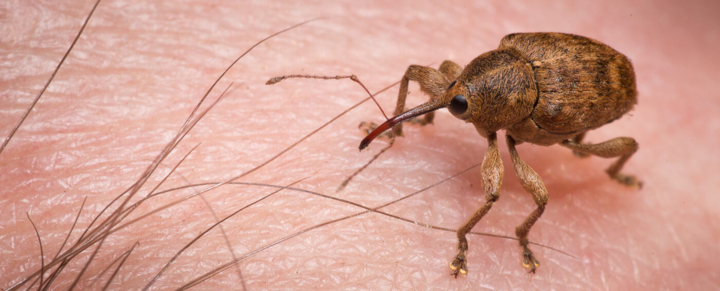 2020-04-17 - NSG Resser Wald und Emscherbruch