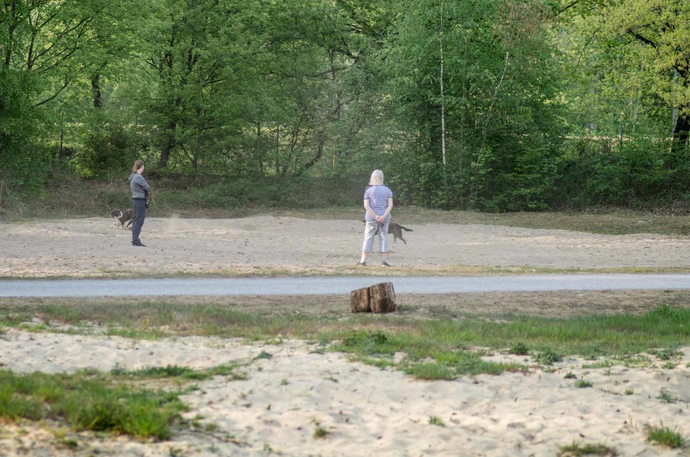 2020-04-23 - NSG Resser Wald und Emscherbruch