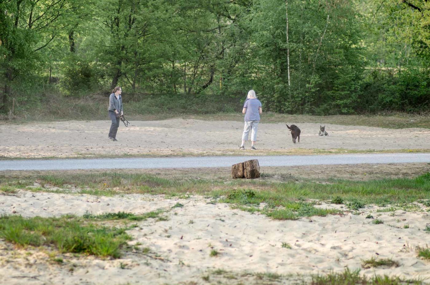 2020-04-23 - NSG Resser Wald und Emscherbruch