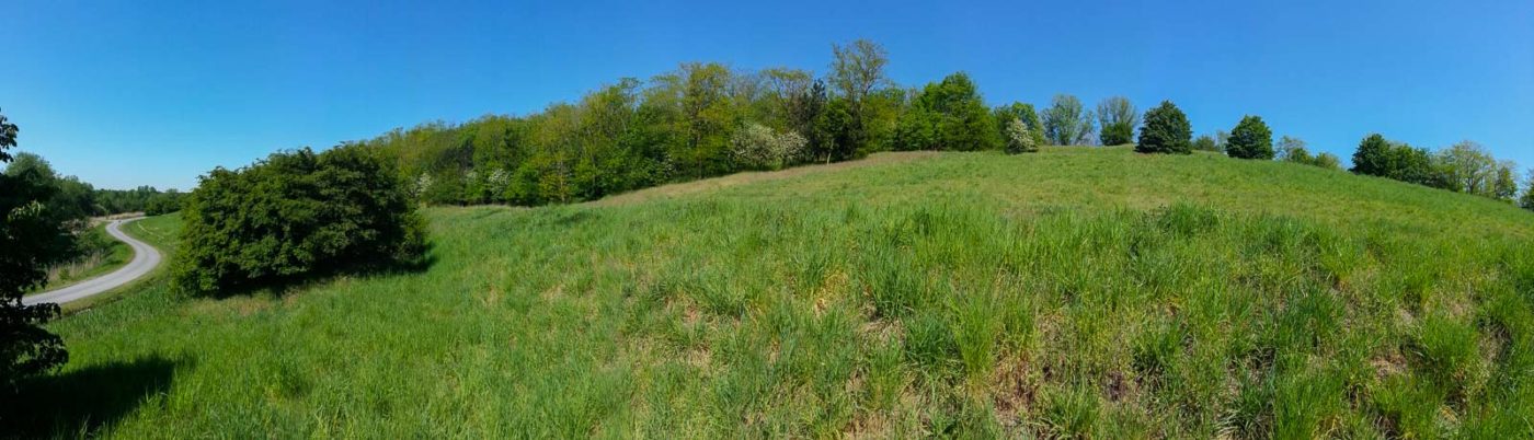 2020-05-06 - NSG Hürfeldhalde Dorsten