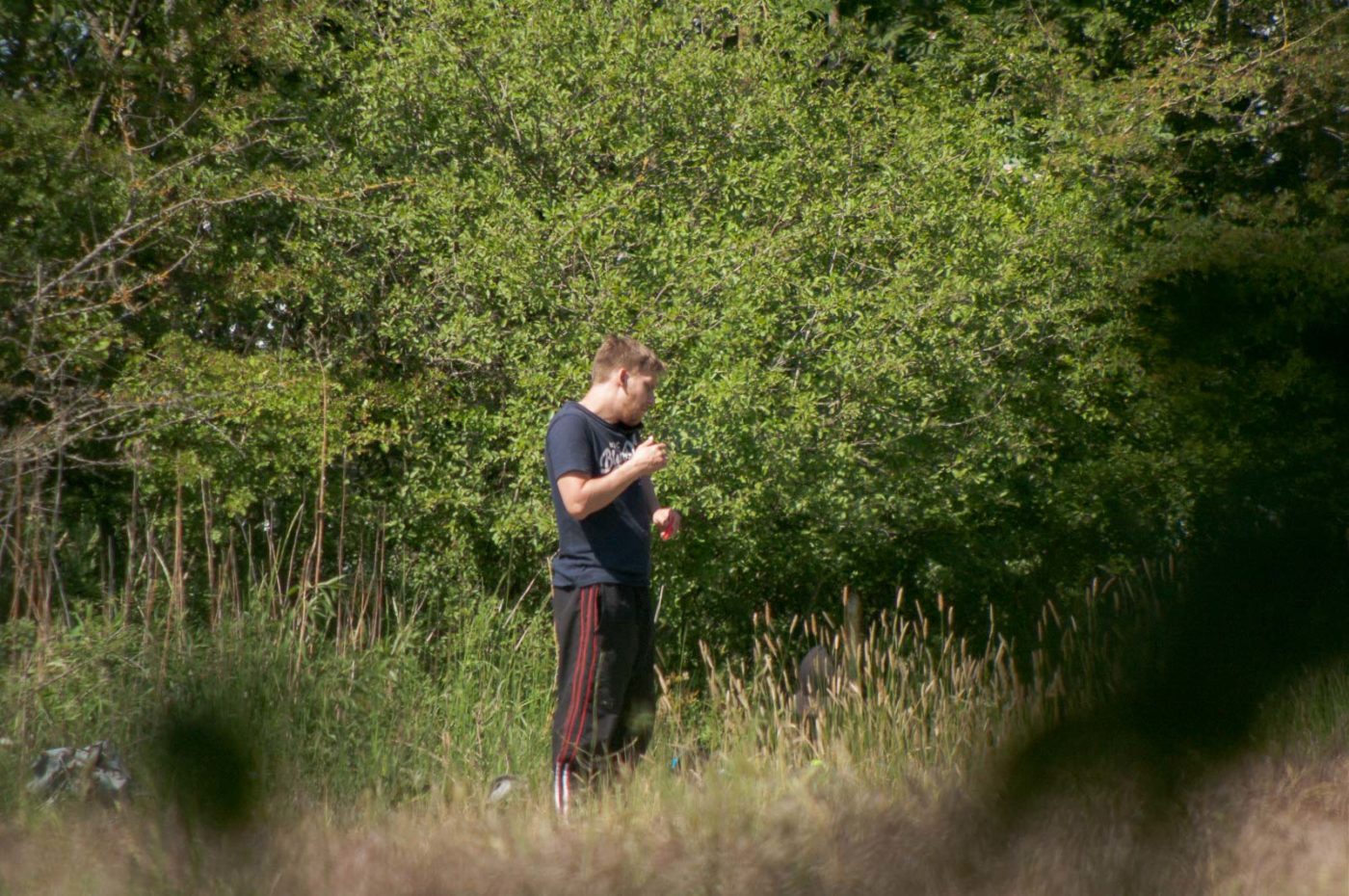 2020-05-21 - NSG Hürfeldhalde Dorsten