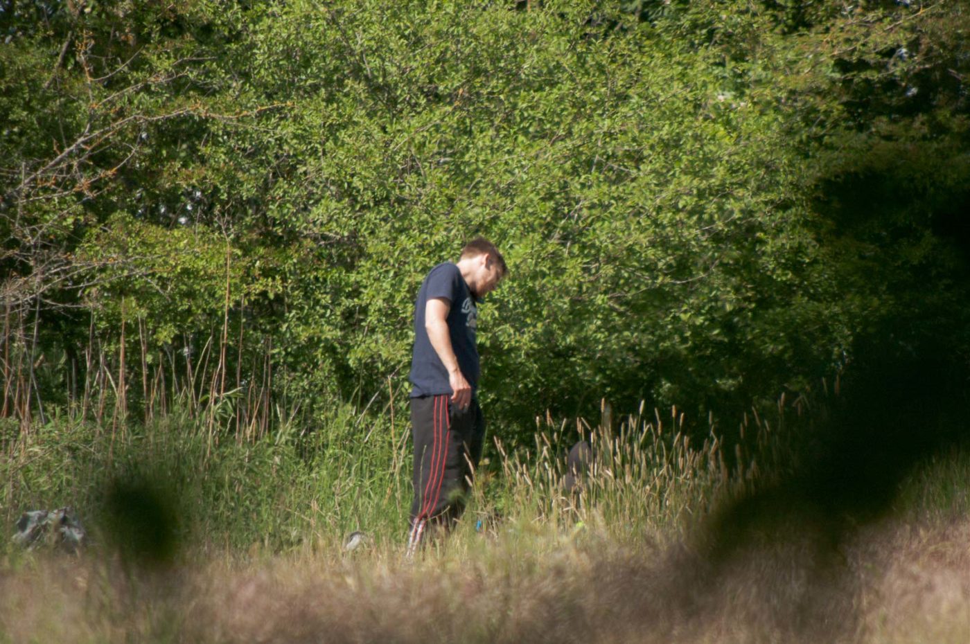 2020-05-21 - NSG Hürfeldhalde Dorsten