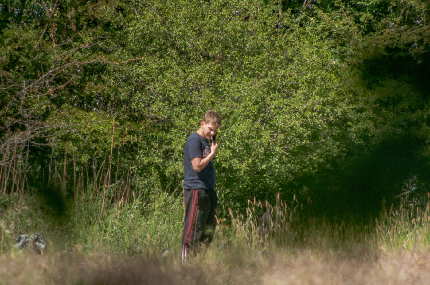 2020-05-21 - NSG Hürfeldhalde Dorsten