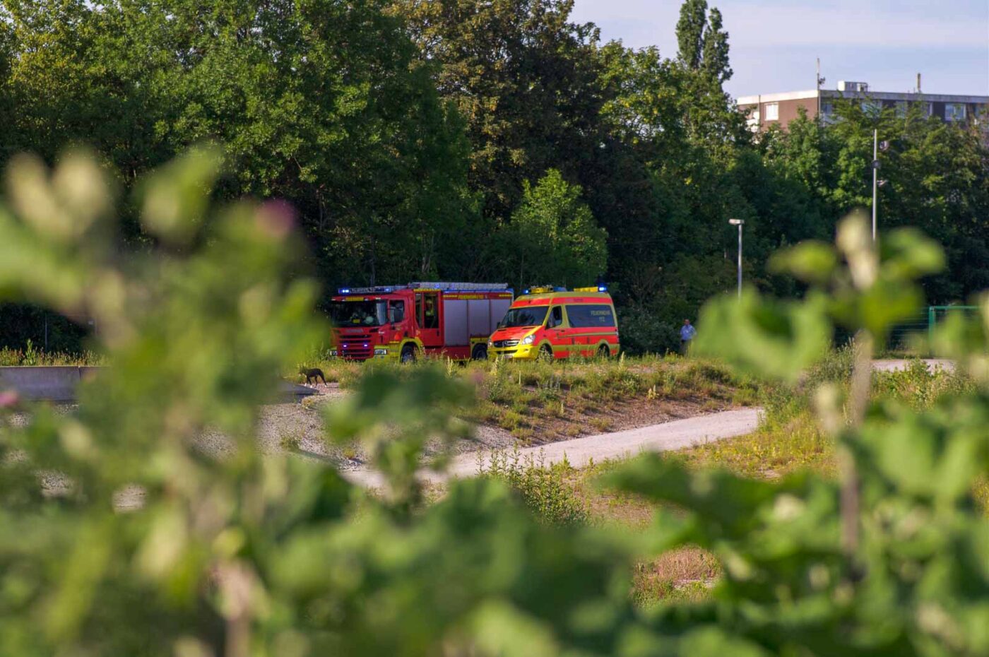 2020-06-01 - NSG Hafen Herten