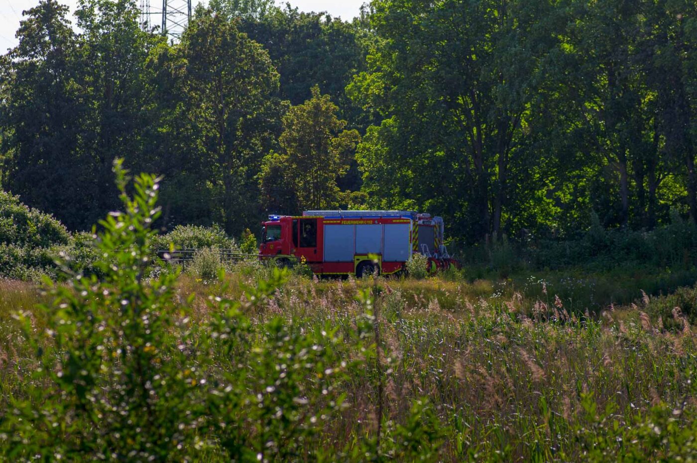 2020-06-01 - NSG Hafen Herten