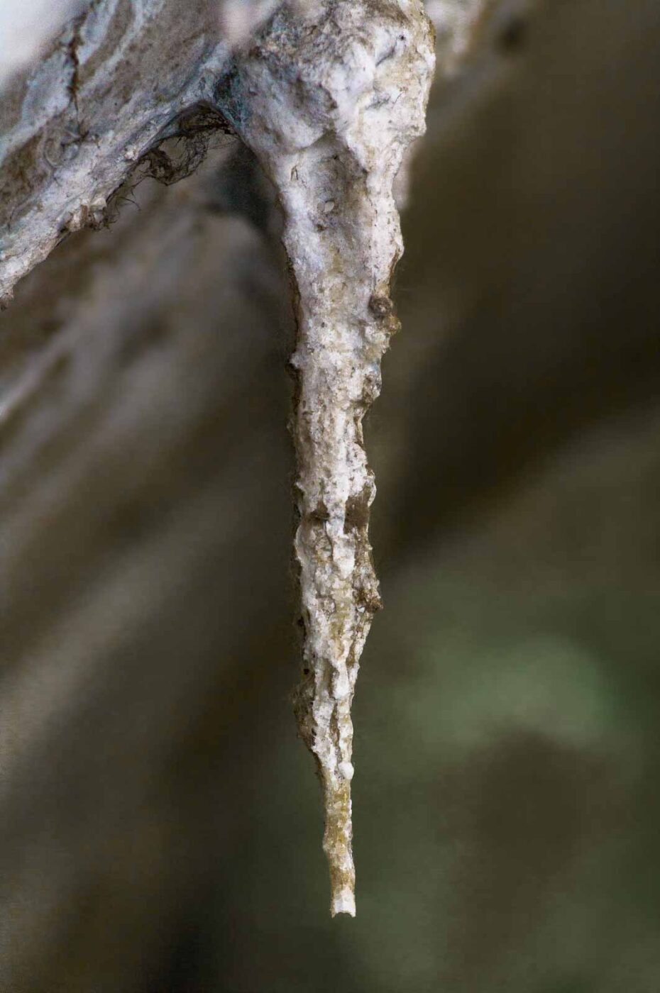 2020-06-01 - NSG Hafen Herten