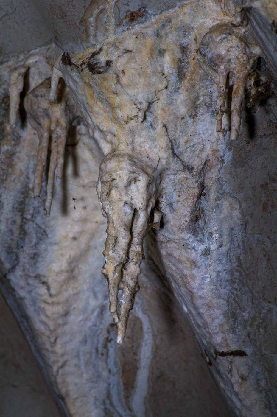 2020-06-01 - NSG Hafen Herten