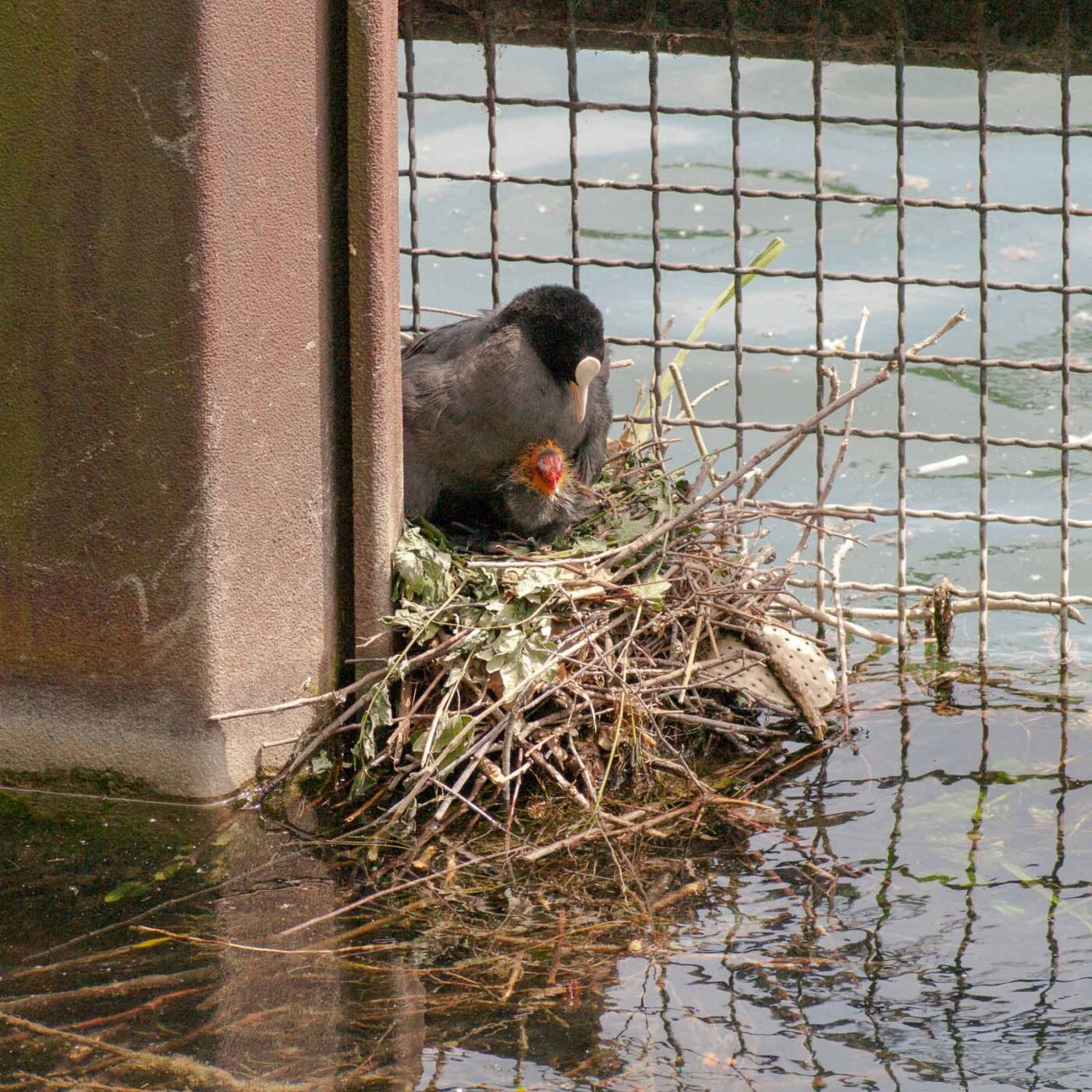 2020-06-02 - Rhein-Herne-Kanal und EmscherValleyWay Kreuzfahrt