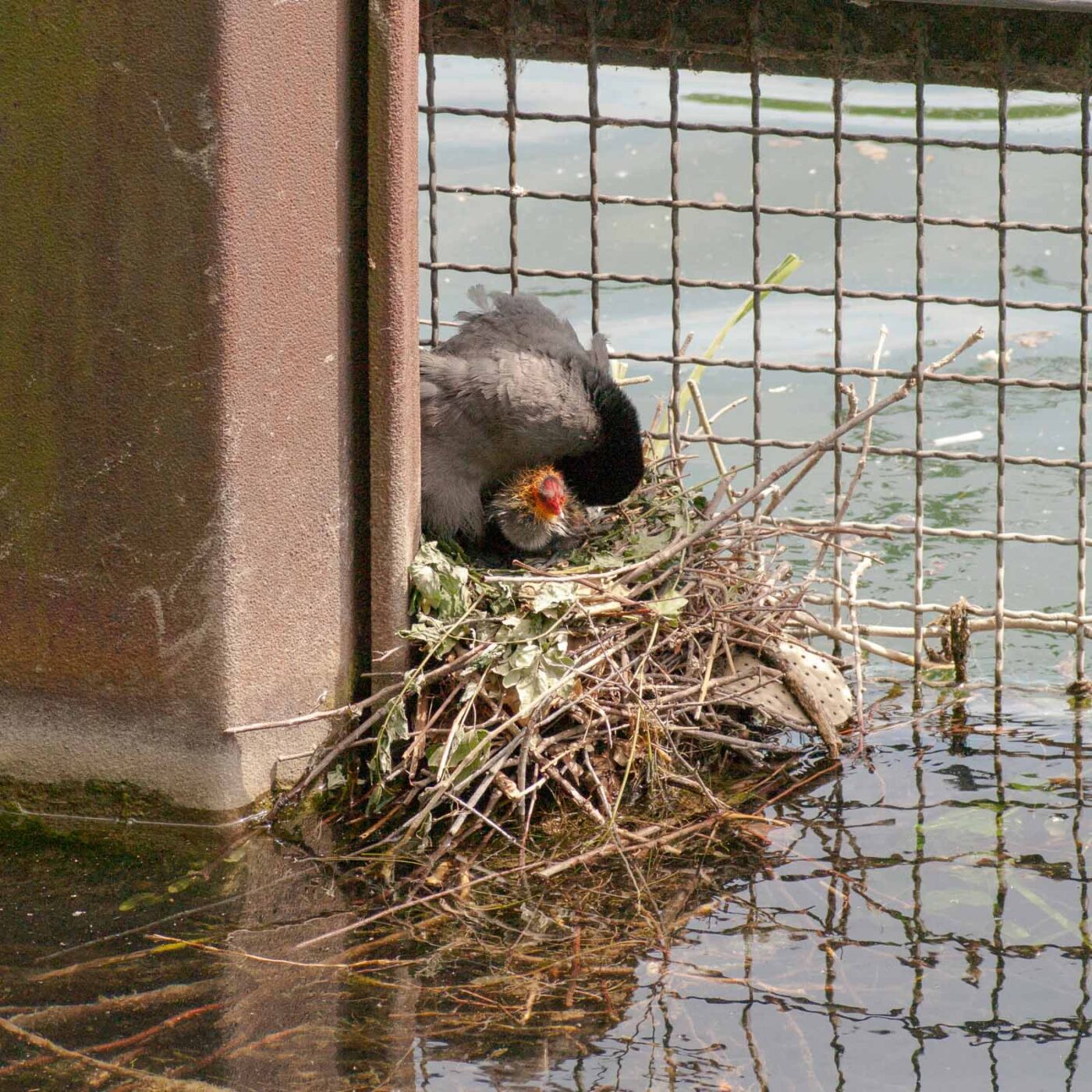 2020-06-02 - Rhein-Herne-Kanal und EmscherValleyWay Kreuzfahrt