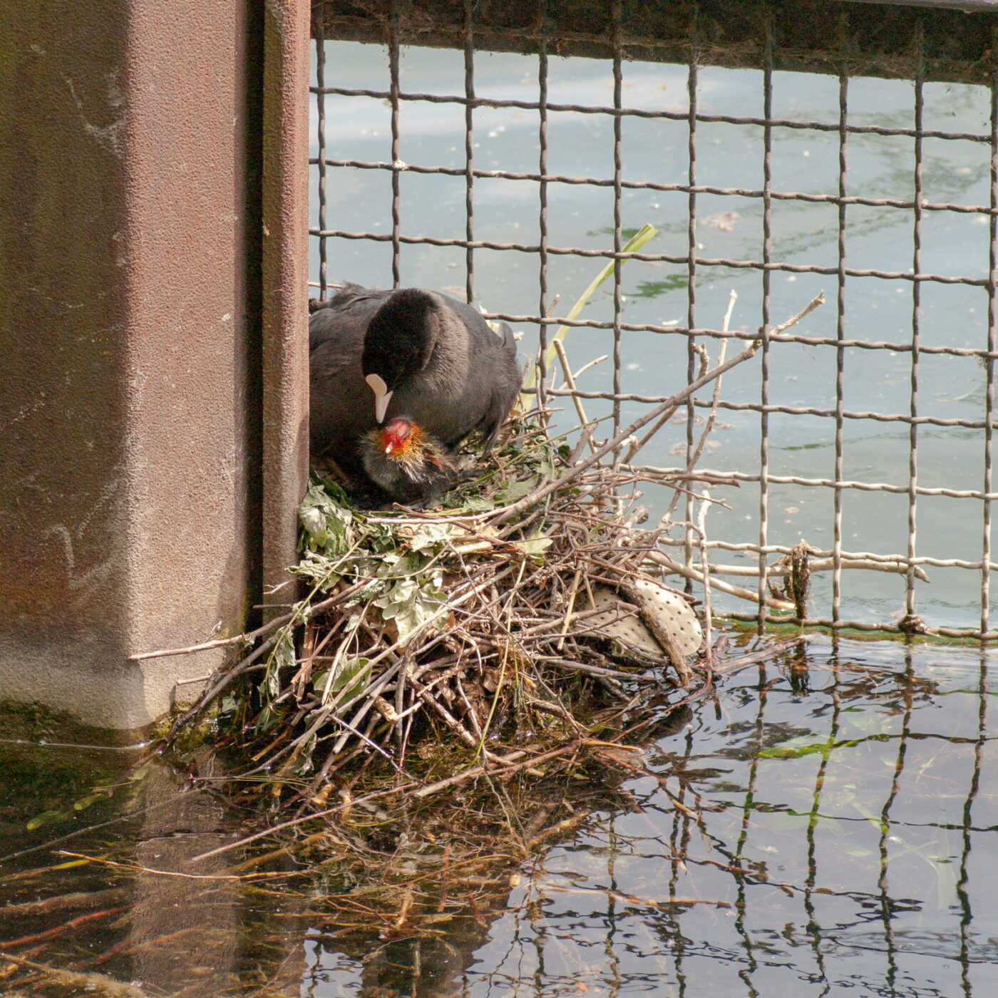 2020-06-02 - Rhein-Herne-Kanal und EmscherValleyWay Kreuzfahrt