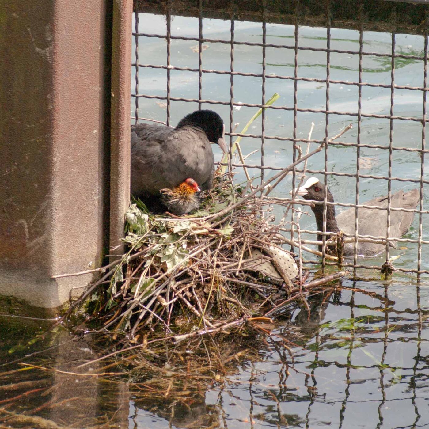 2020-06-02 - Rhein-Herne-Kanal und EmscherValleyWay Kreuzfahrt
