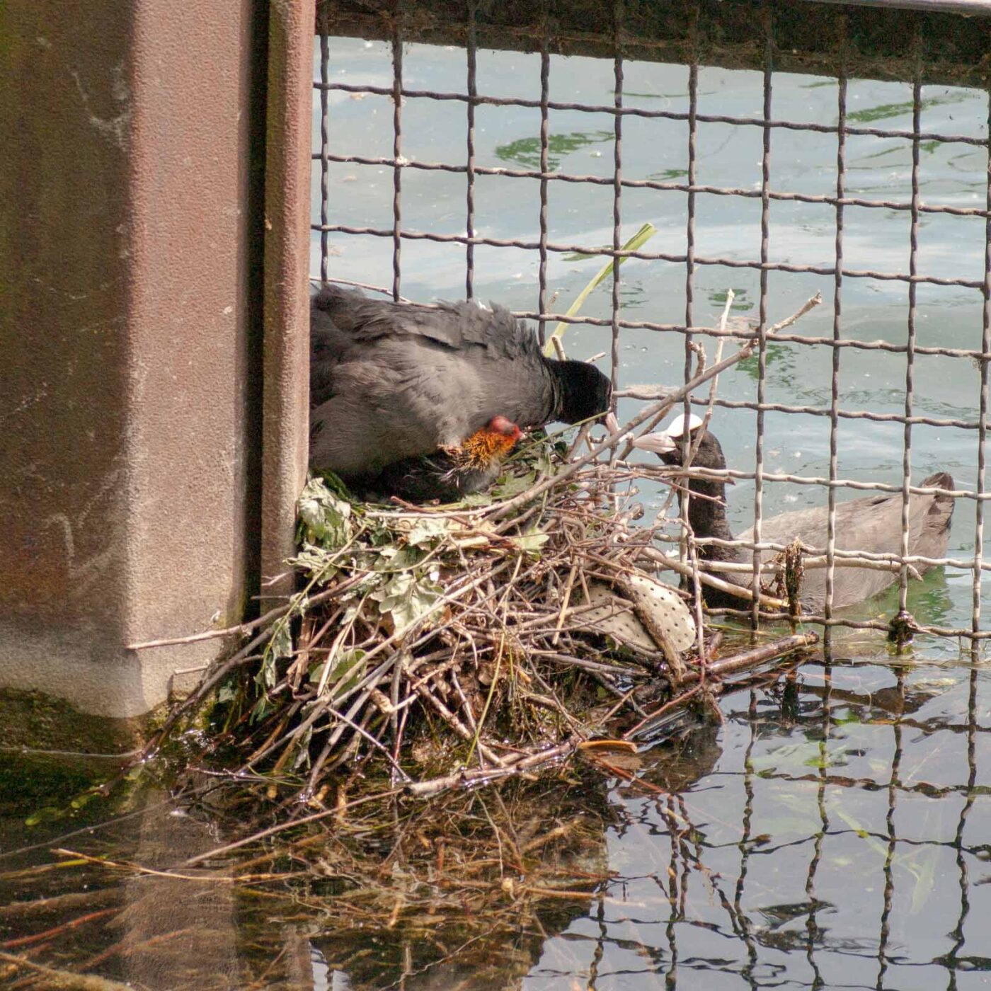 2020-06-02 - Rhein-Herne-Kanal und EmscherValleyWay Kreuzfahrt