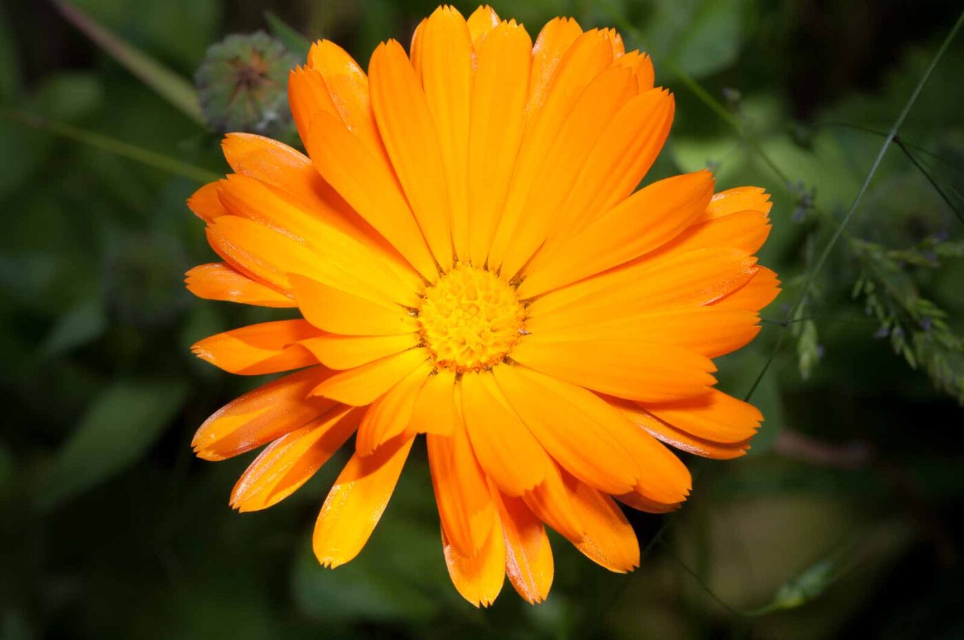 2020-06-02 - Rhein-Herne-Kanal und EmscherValleyWay Kreuzfahrt