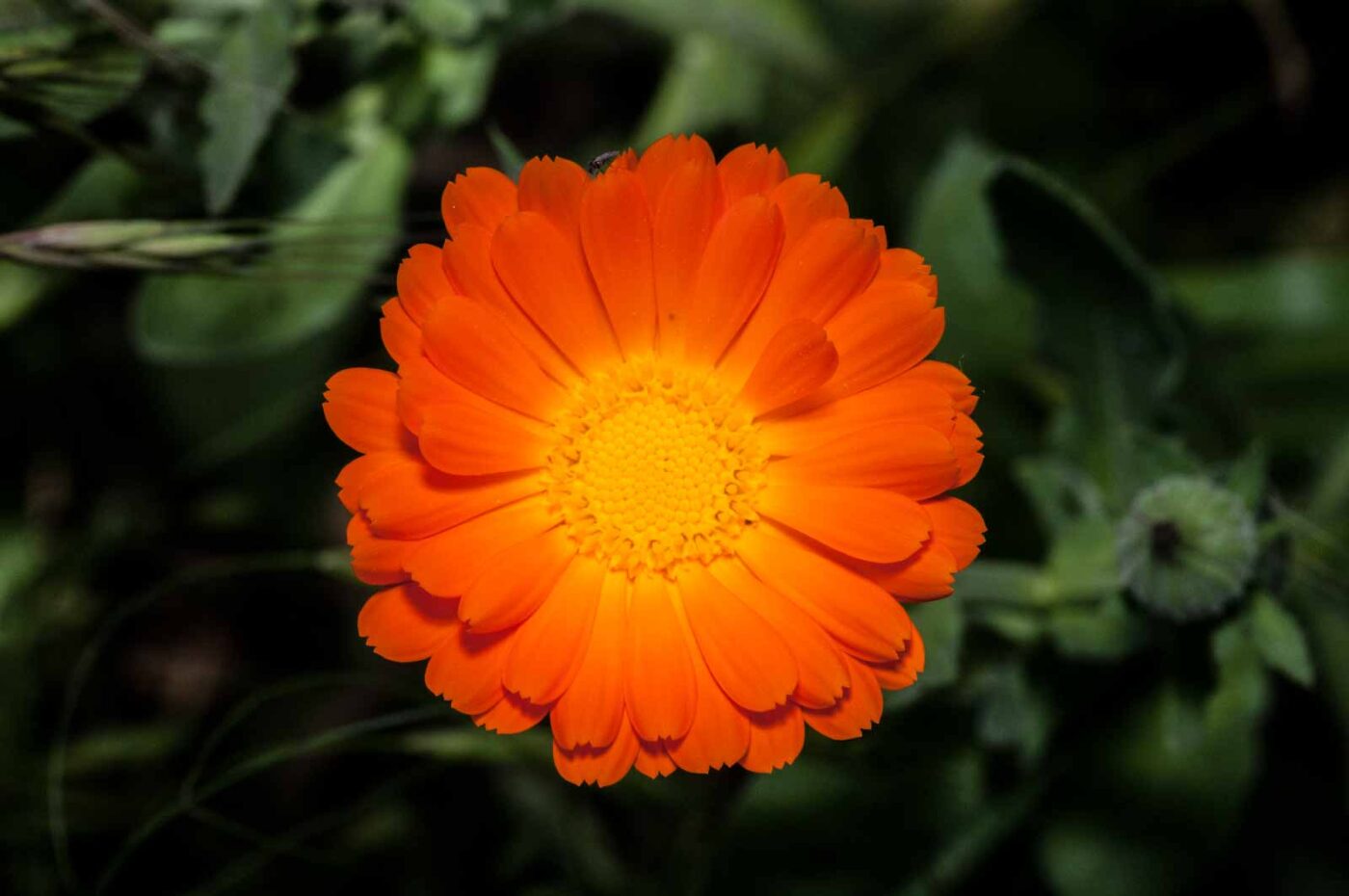 2020-06-02 - Rhein-Herne-Kanal und EmscherValleyWay Kreuzfahrt