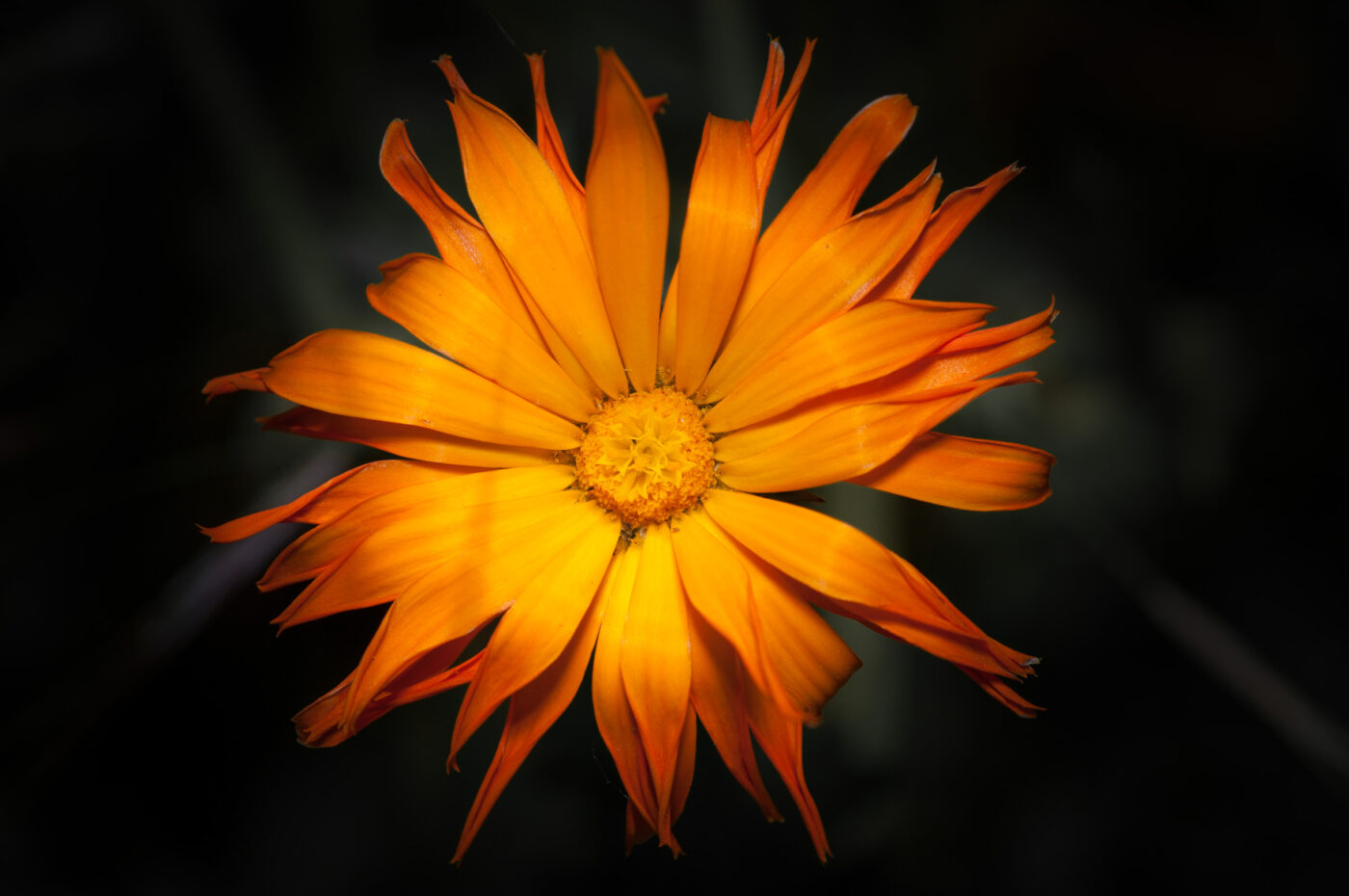 2020-06-02 - Rhein-Herne-Kanal und EmscherValleyWay Kreuzfahrt