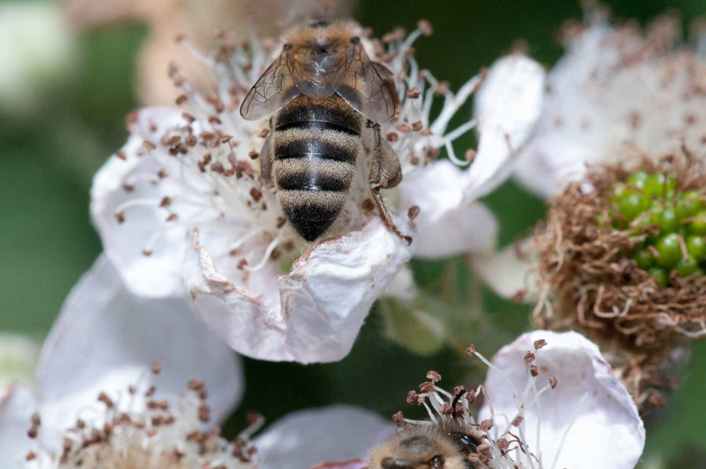 2020-06-02 - Rhein-Herne-Kanal und EmscherValleyWay Kreuzfahrt