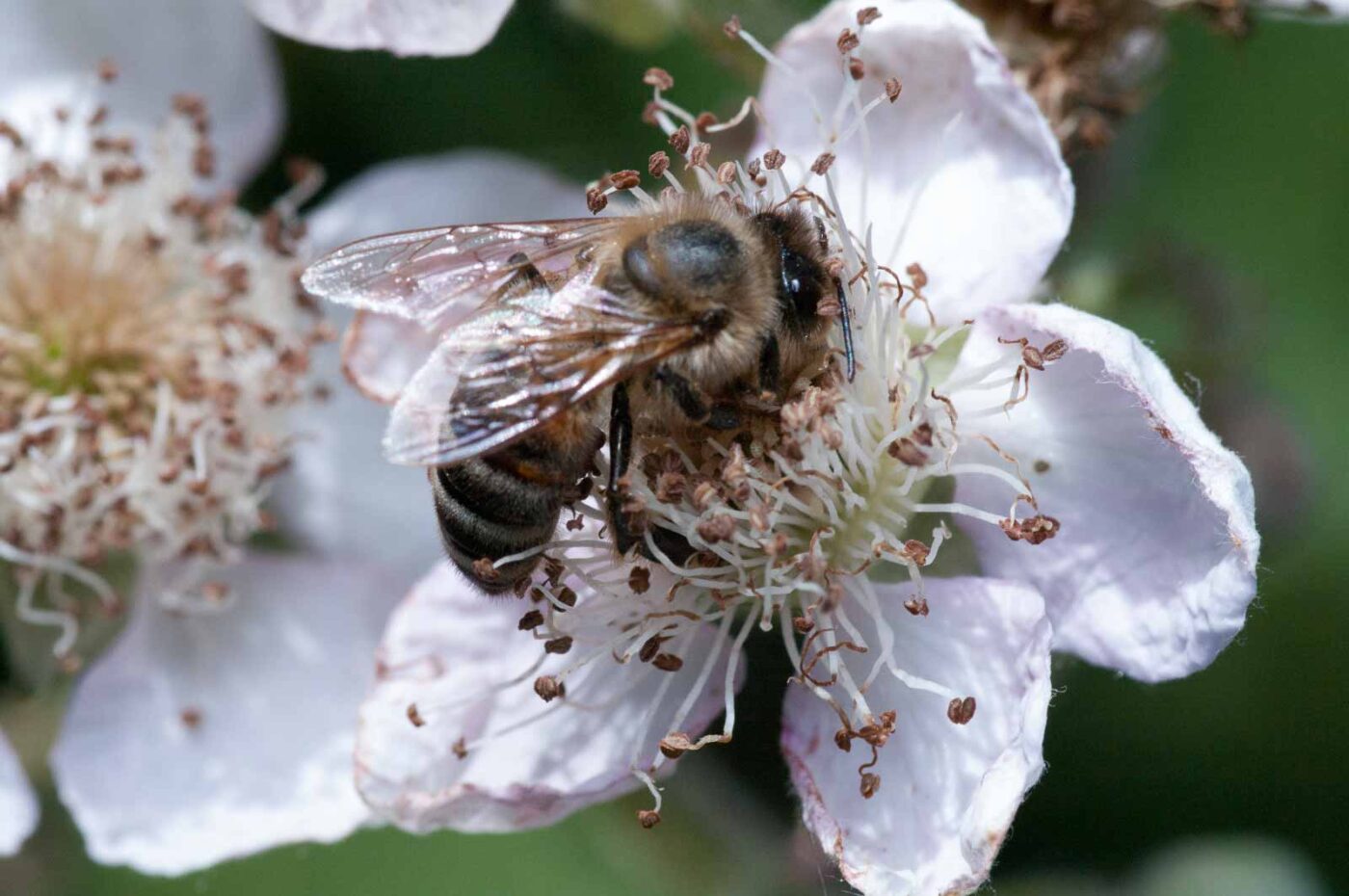 2020-06-02 - Rhein-Herne-Kanal und EmscherValleyWay Kreuzfahrt