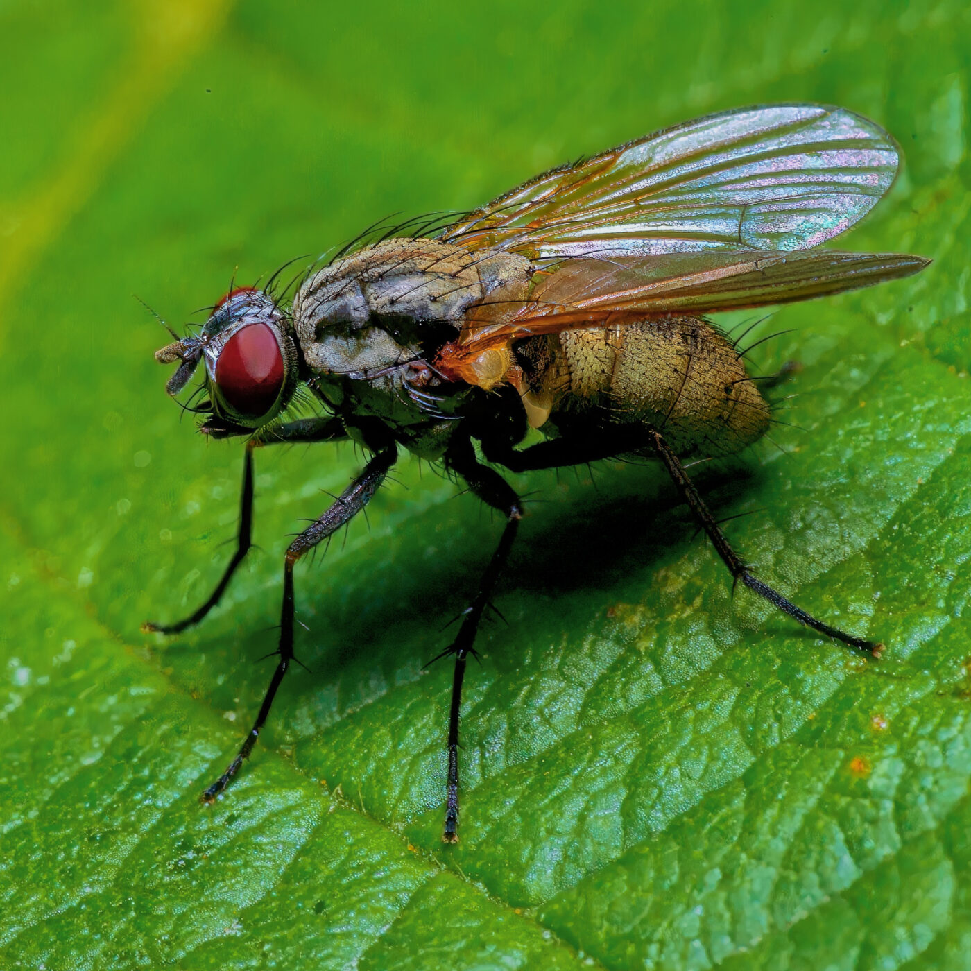 2020-06-07 - EmscherValleyWay Recklinghausen