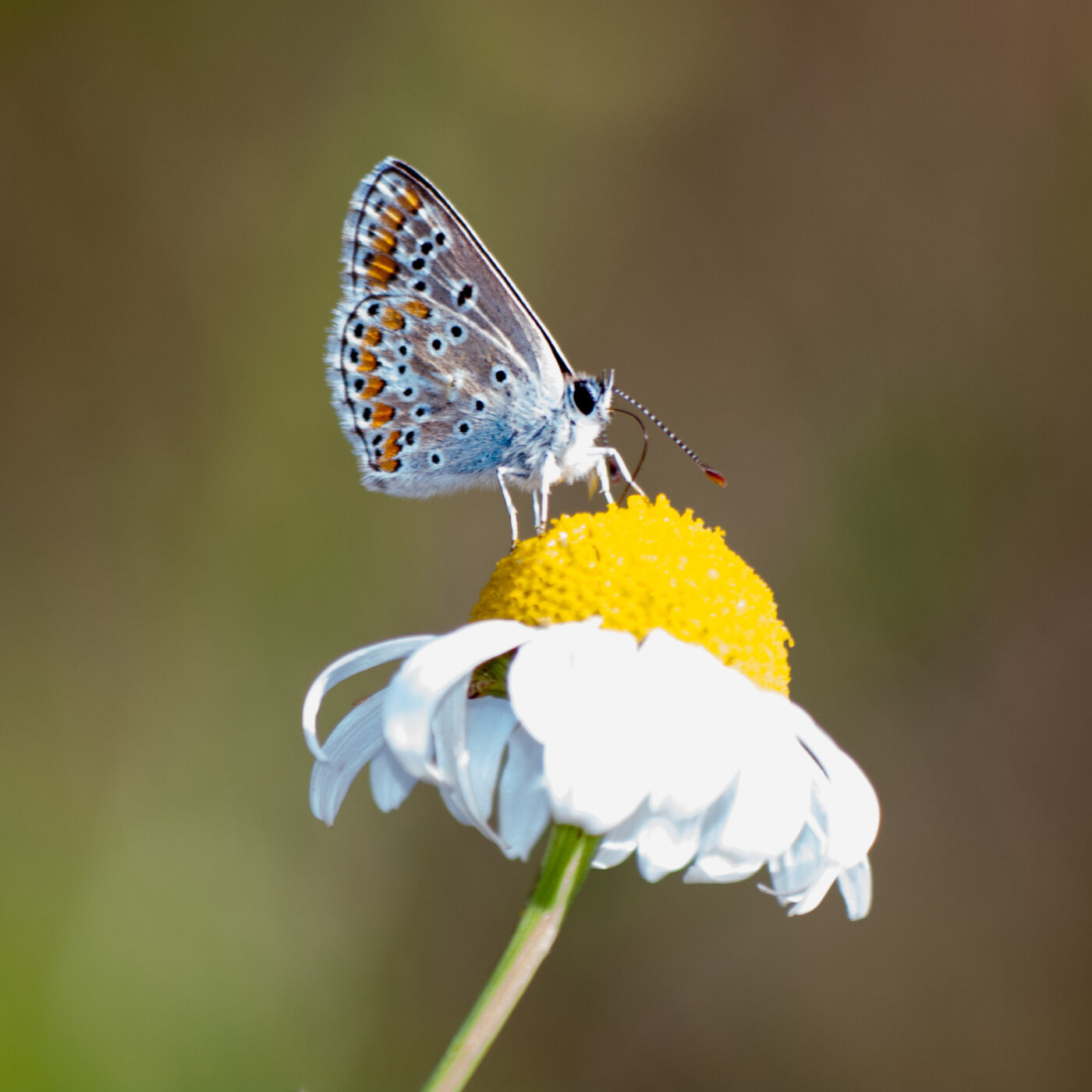 2020-07-19 - EmscherValleyWay Recklinghausen