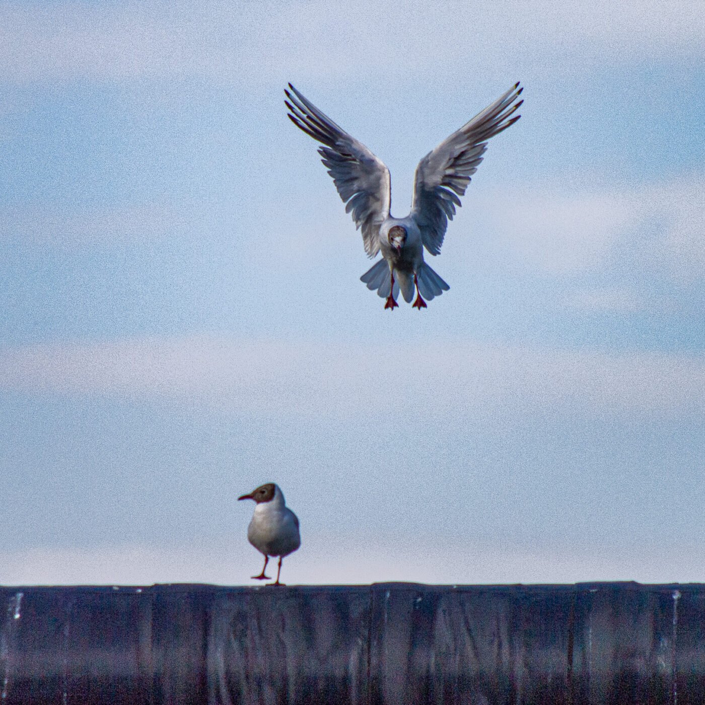 2020-07-19 - EmscherValleyWay Recklinghausen