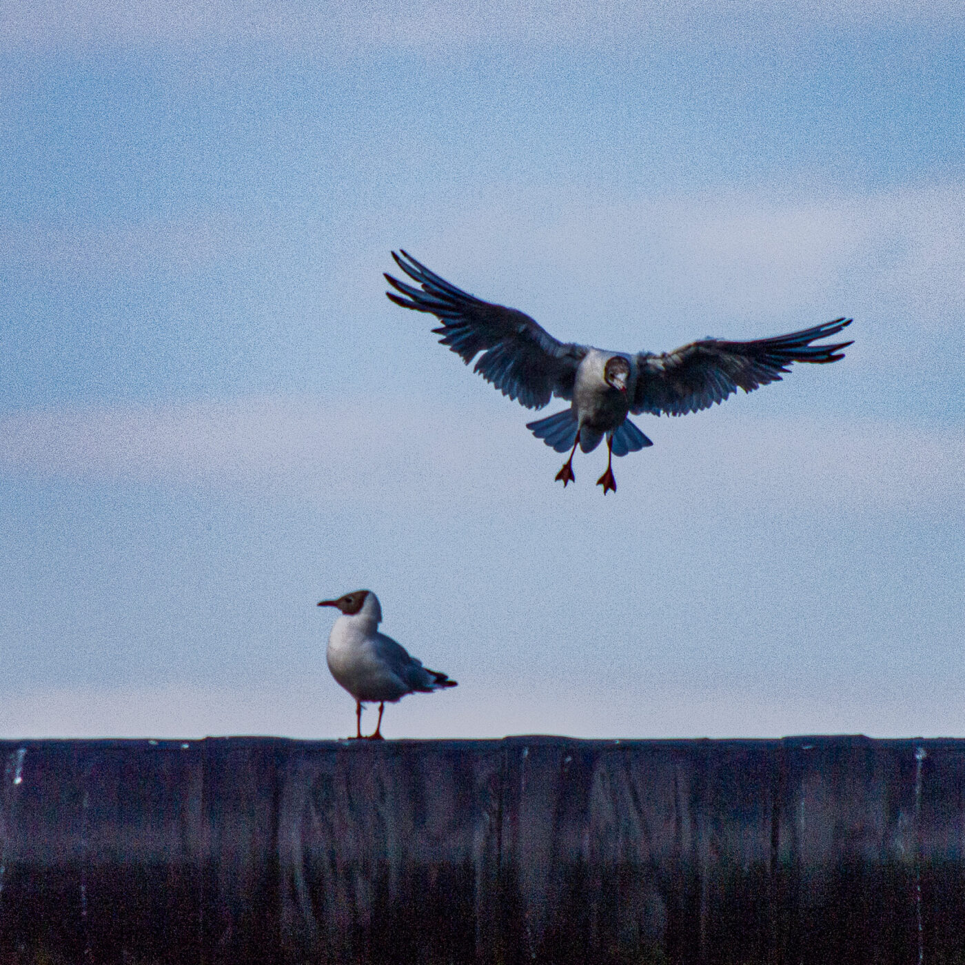 2020-07-19 - EmscherValleyWay Recklinghausen