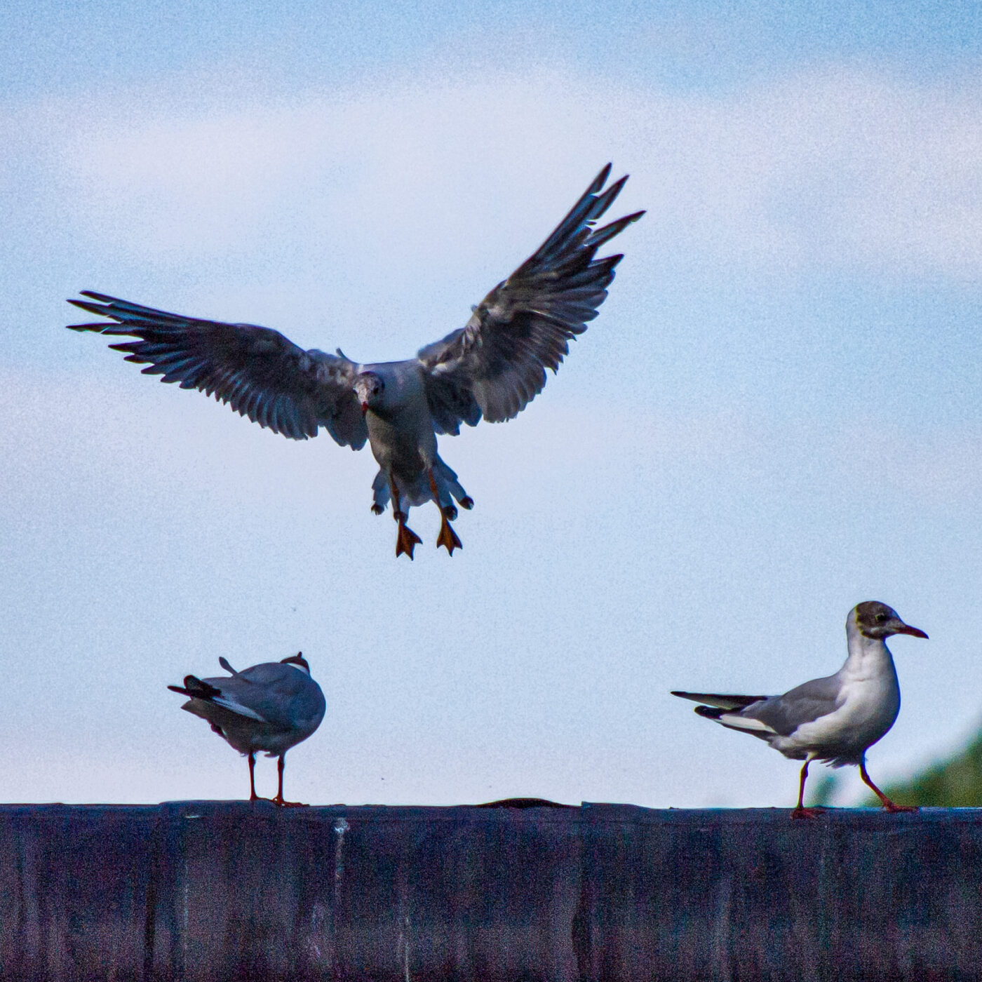 2020-07-19 - EmscherValleyWay Recklinghausen