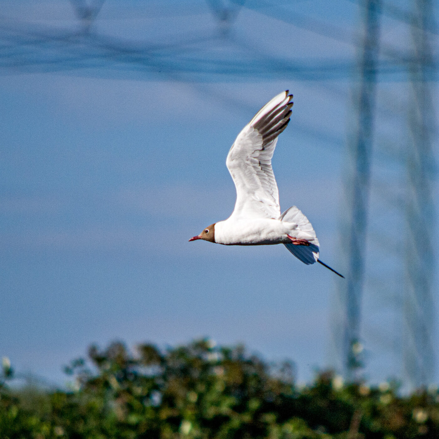 2020-07-19 - EmscherValleyWay Recklinghausen