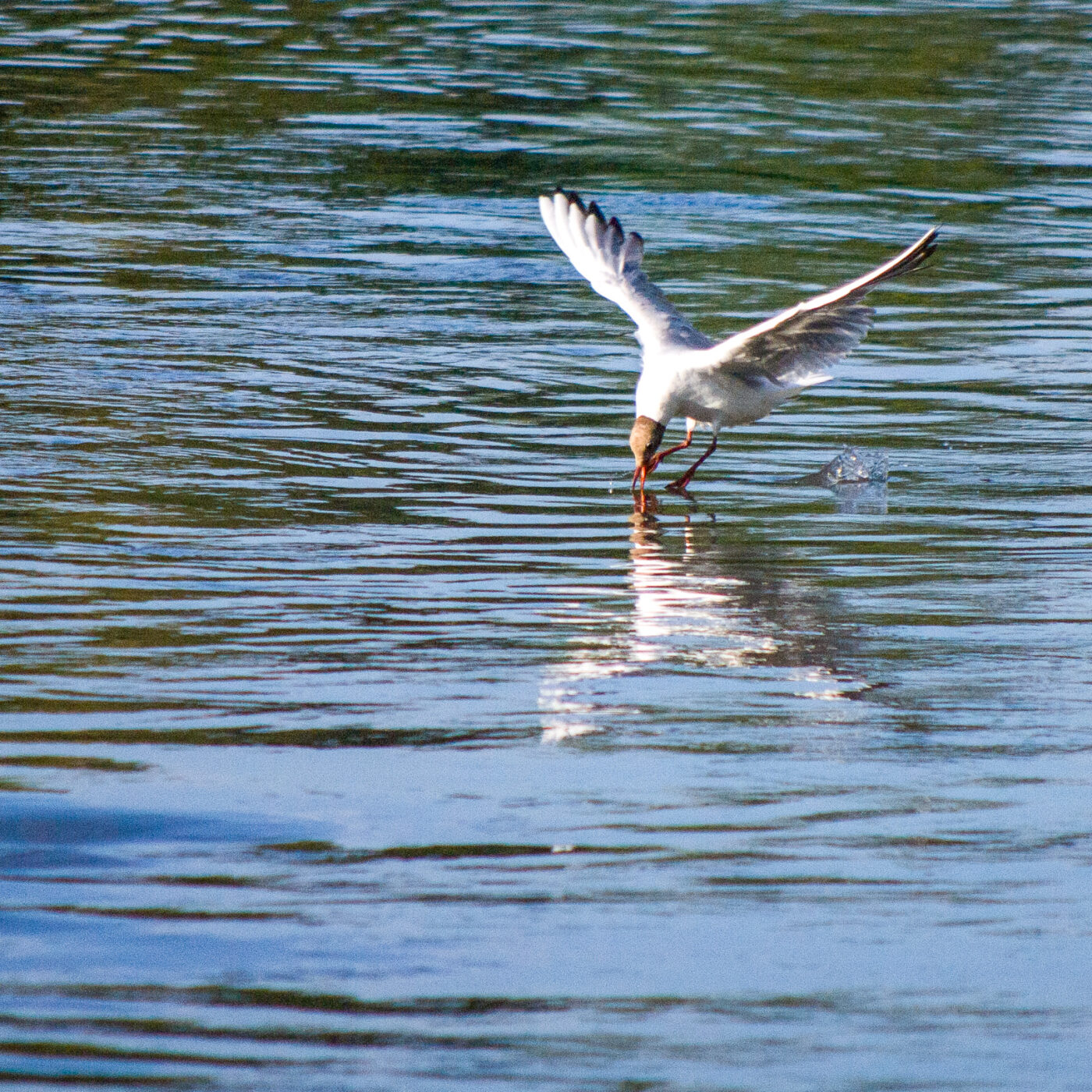 2020-07-19 - EmscherValleyWay Recklinghausen