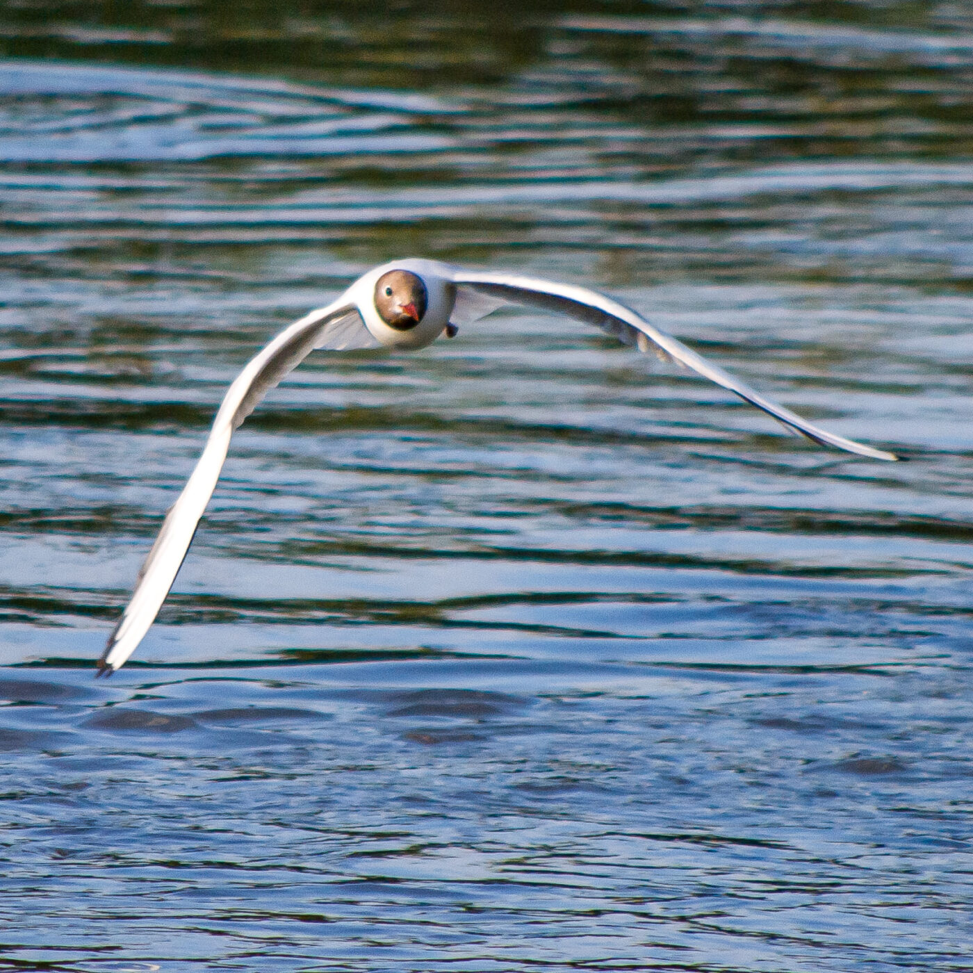 2020-07-19 - EmscherValleyWay Recklinghausen