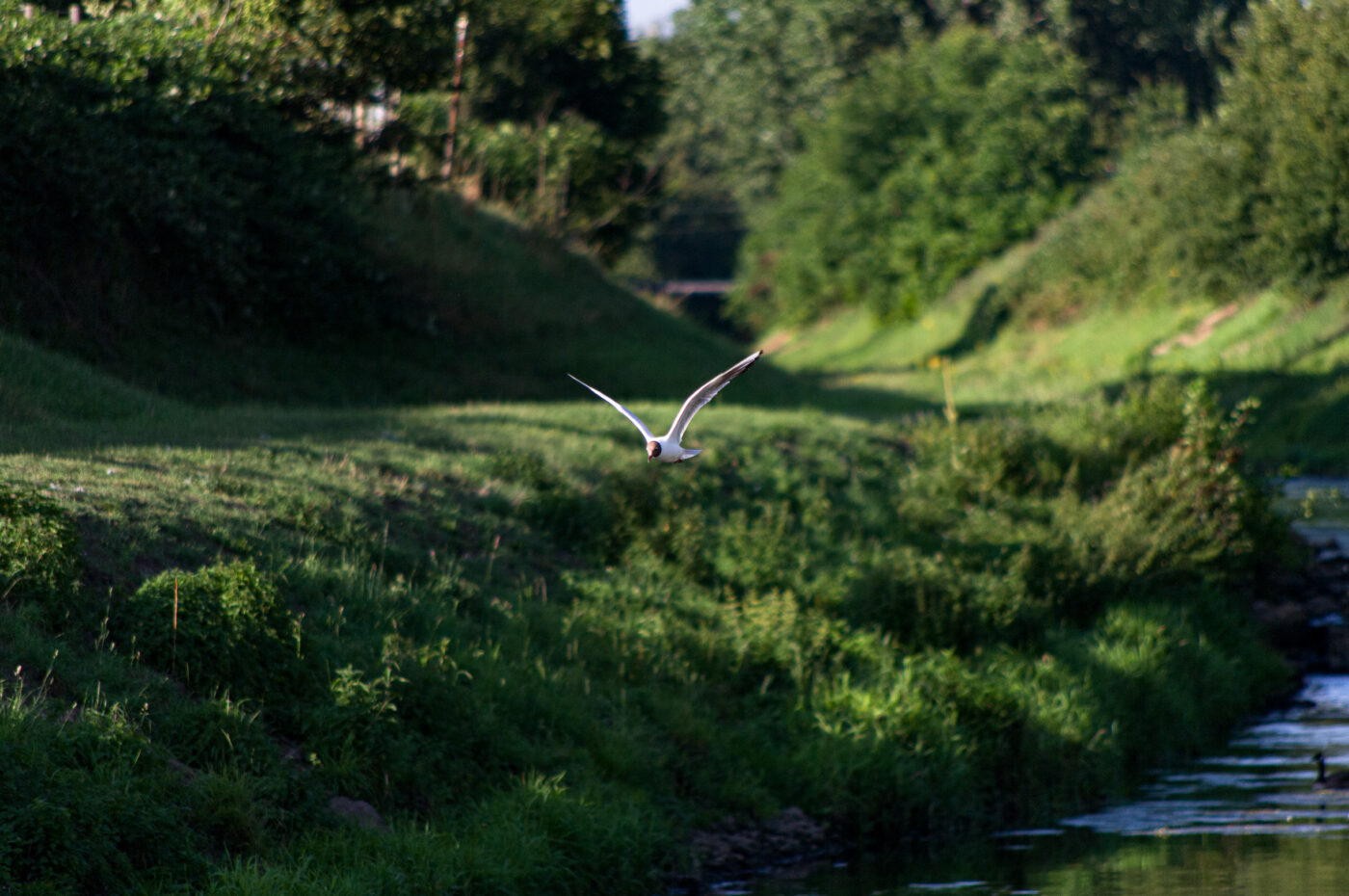 2020-07-19 - EmscherValleyWay Recklinghausen