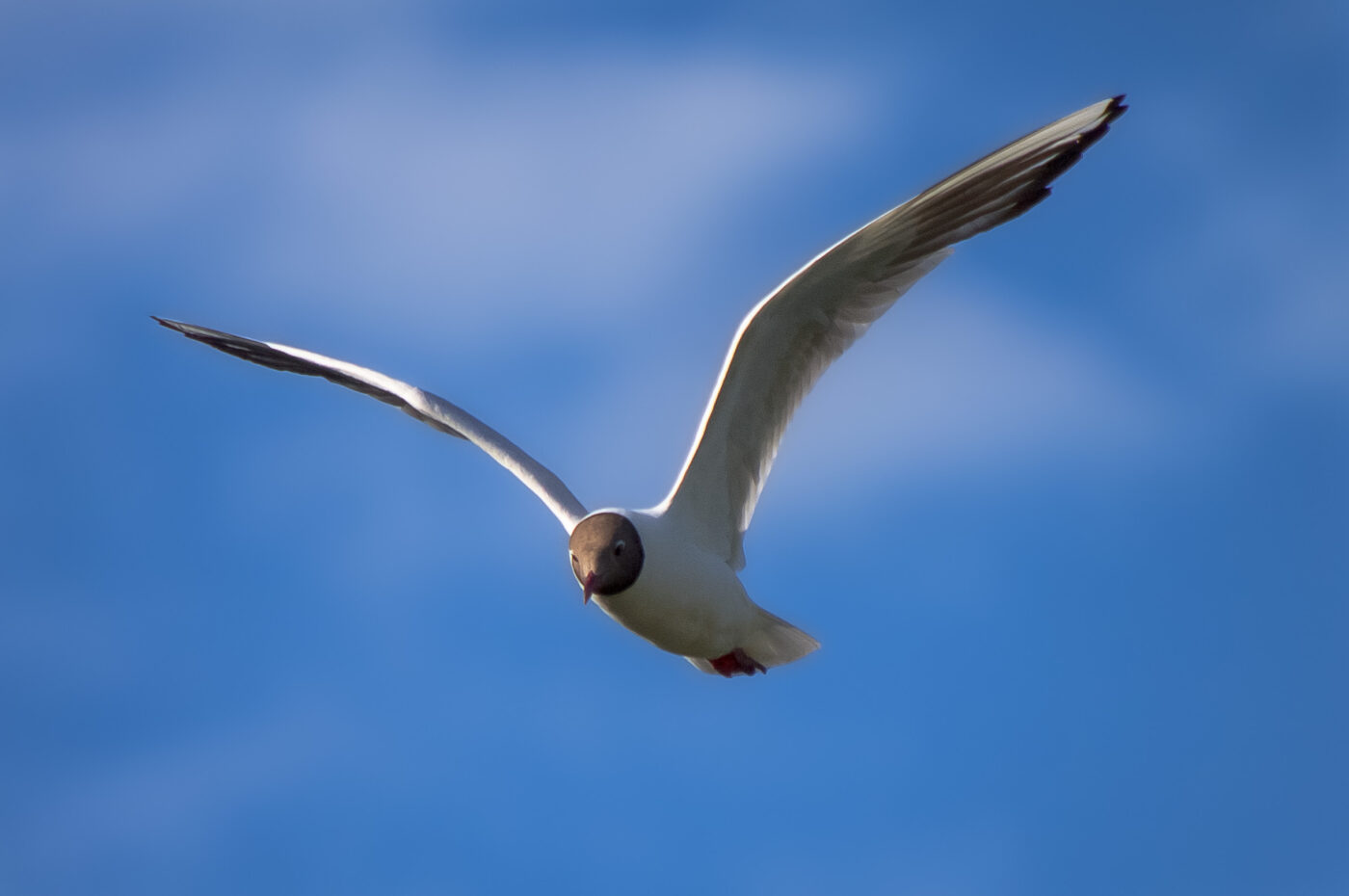 2020-07-19 - EmscherValleyWay Recklinghausen
