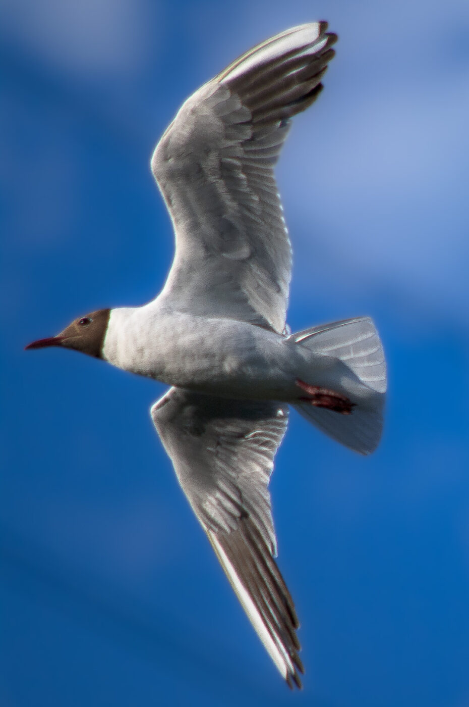 2020-07-19 - EmscherValleyWay Recklinghausen