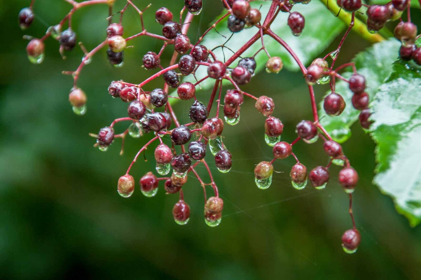 2020-08-21 - 2020-08-23 - Bayern