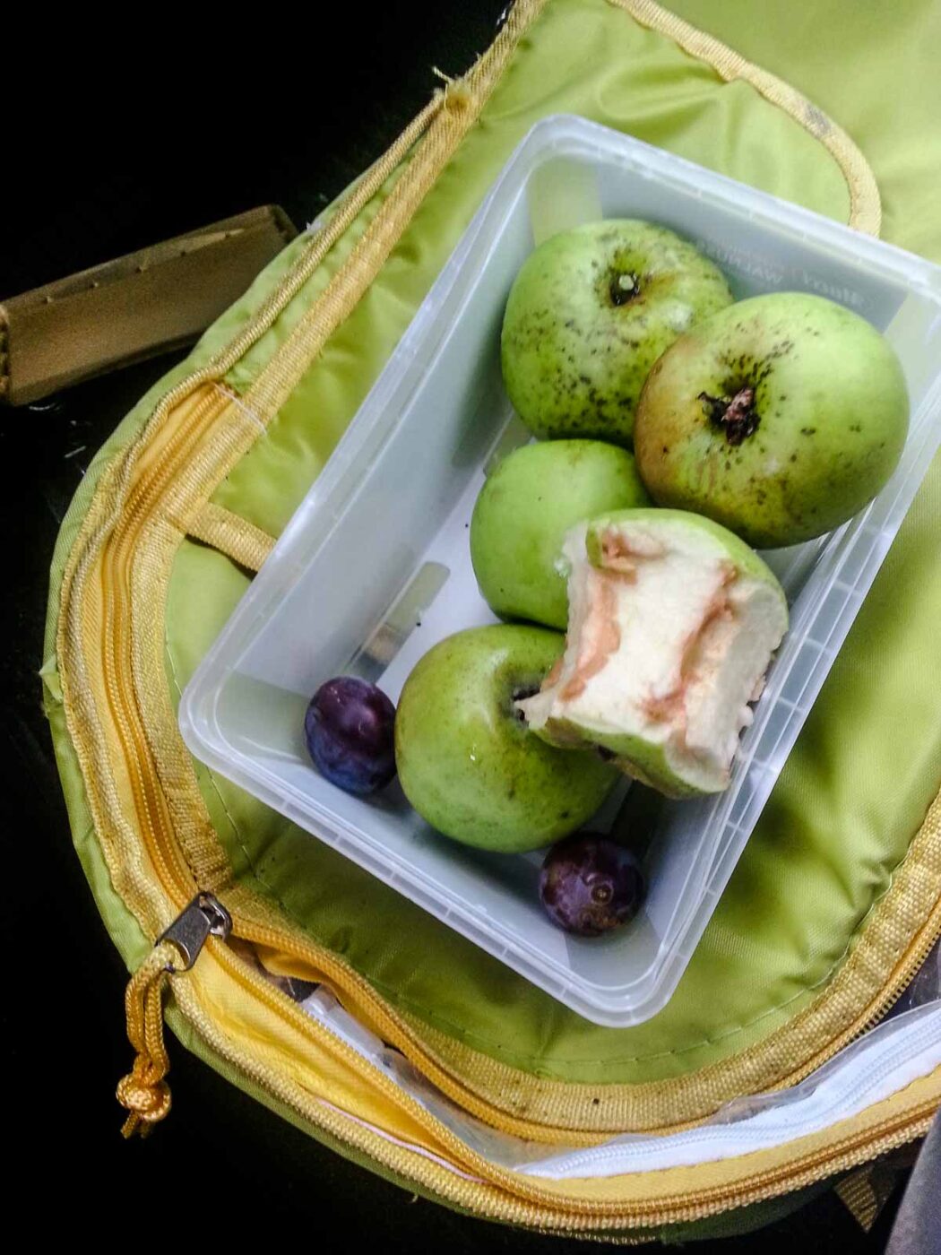 2020-08-21 - 2020-08-23 - Bayern