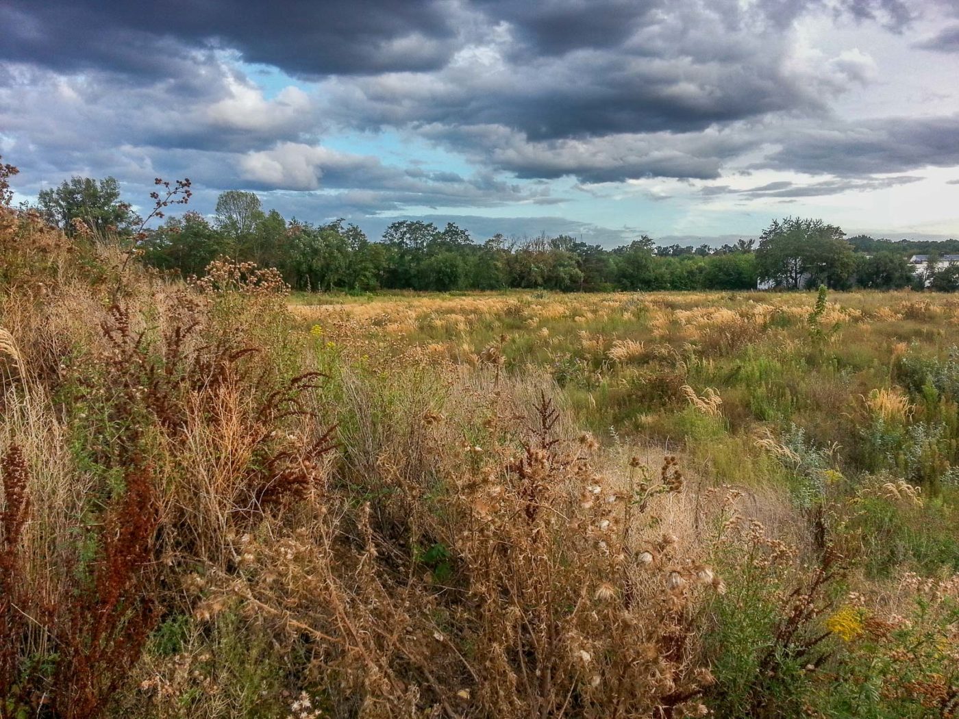 2020-08-21 - 2020-08-23 - Bayern
