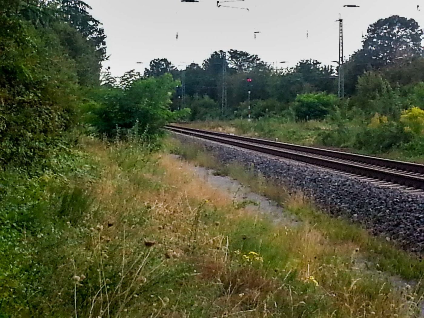 2020-08-21 - 2020-08-23 - Bayern