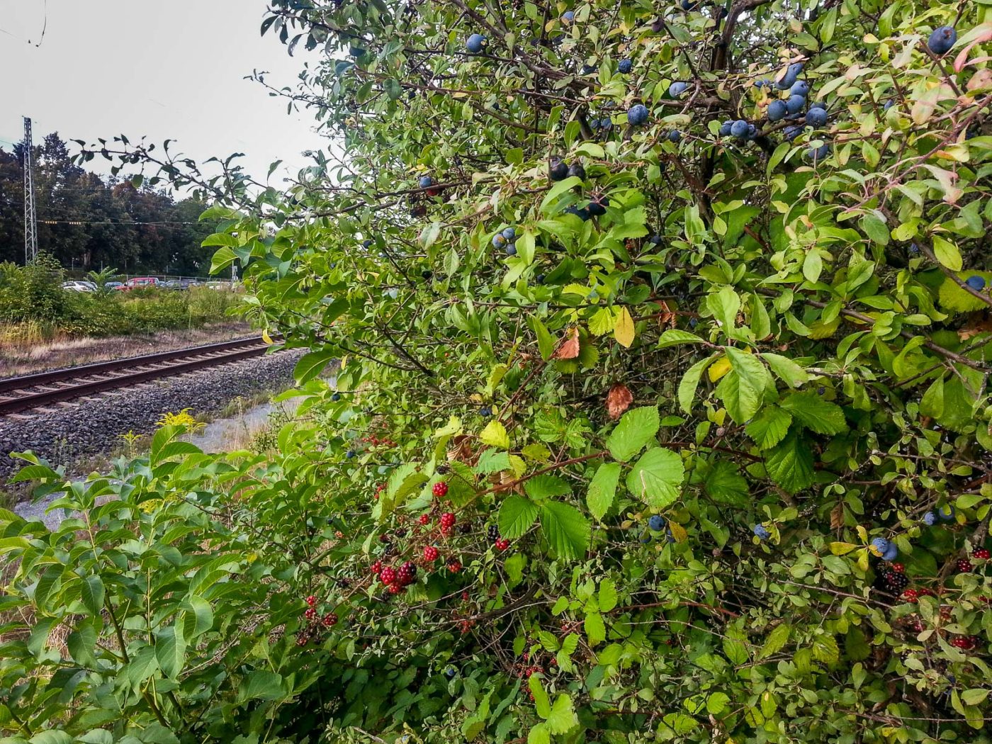 2020-08-21 - 2020-08-23 - Bayern