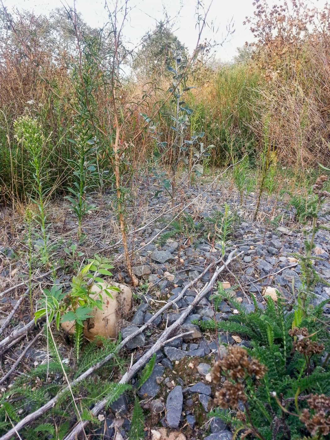 2020-08-21 - 2020-08-23 - Bayern