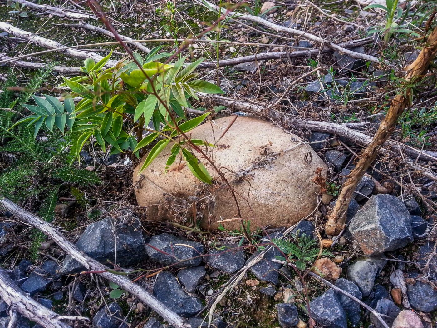 2020-08-21 - 2020-08-23 - Bayern