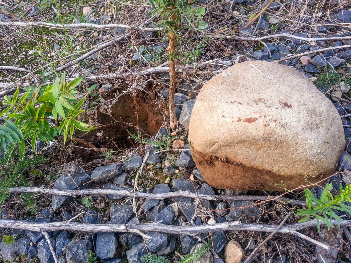 2020-08-21 - 2020-08-23 - Bayern