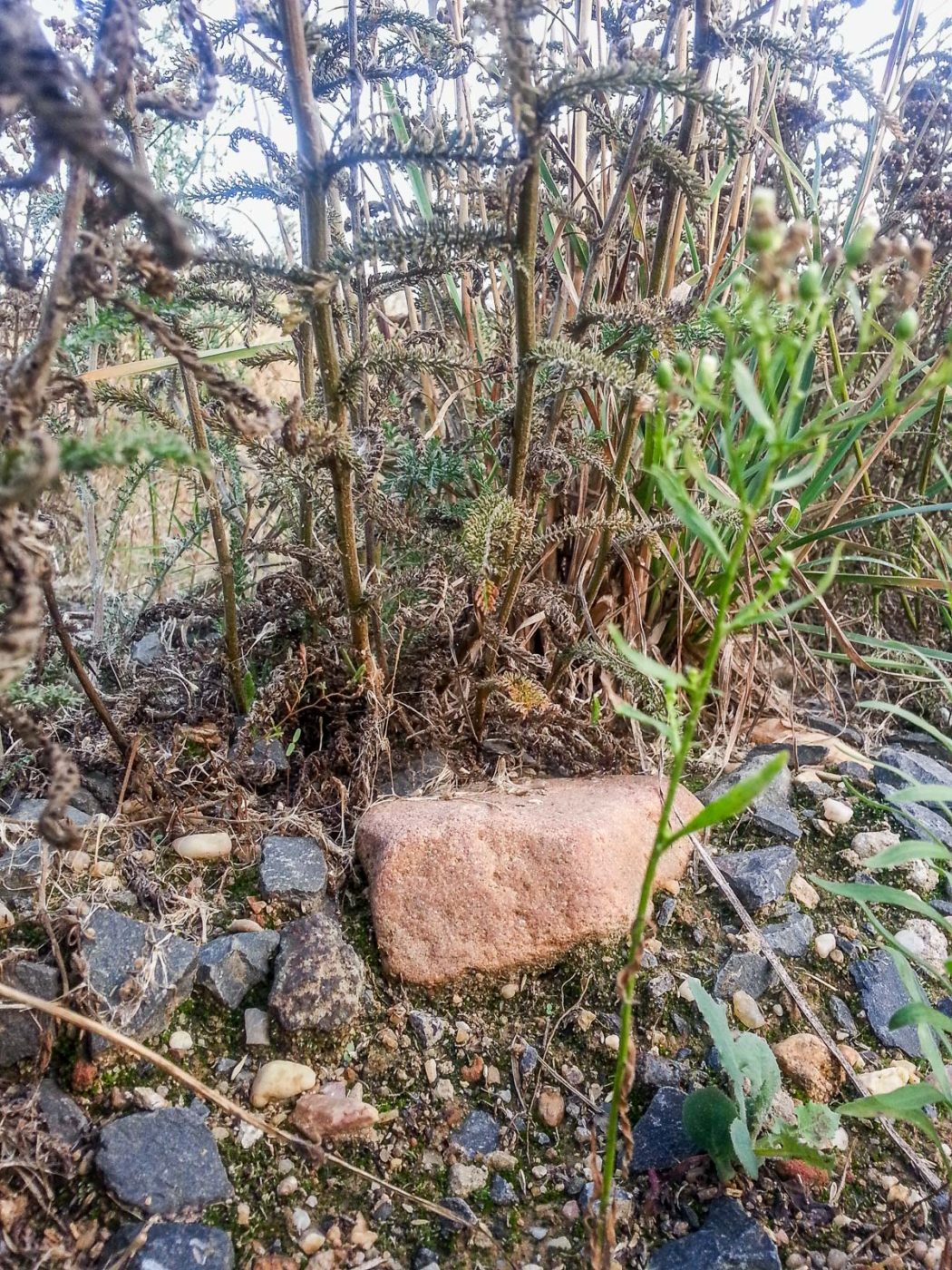 2020-08-21 - 2020-08-23 - Bayern