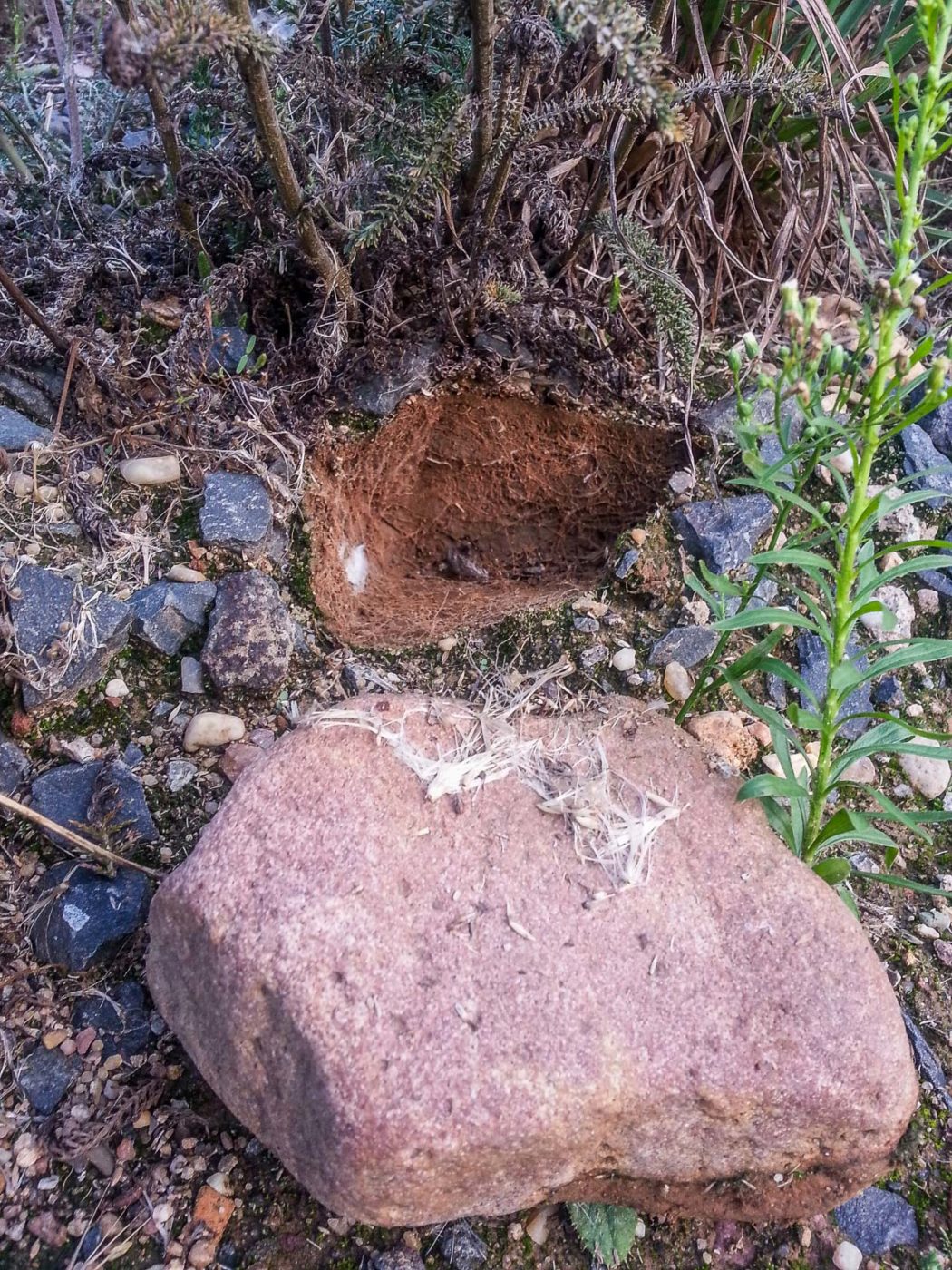 2020-08-21 - 2020-08-23 - Bayern