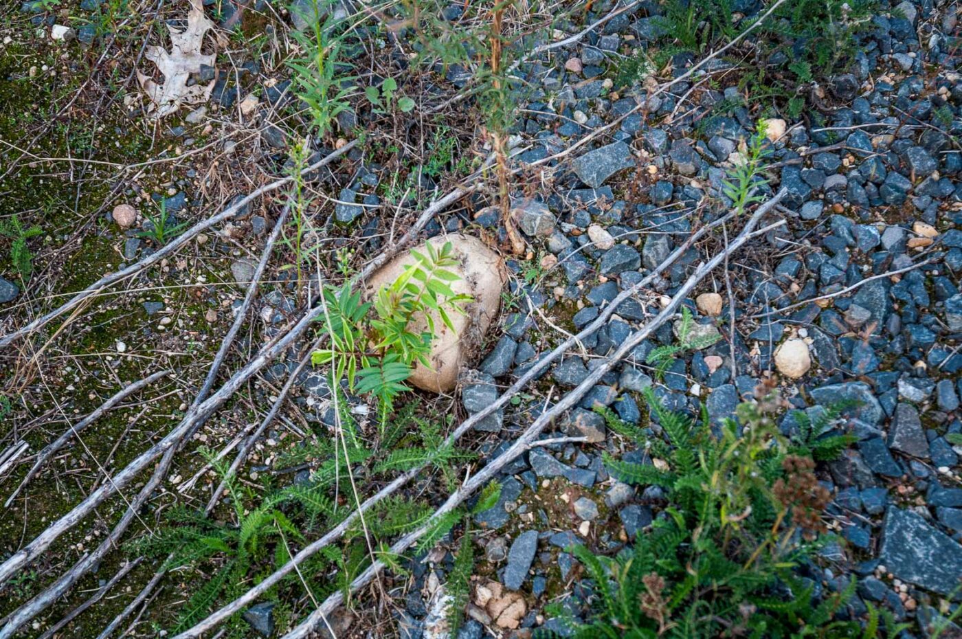 2020-08-21 - 2020-08-23 - Bayern