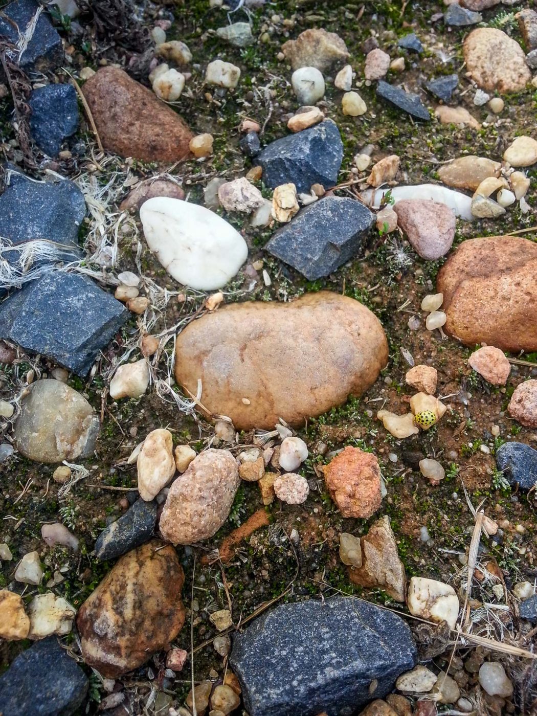 2020-08-21 - 2020-08-23 - Bayern